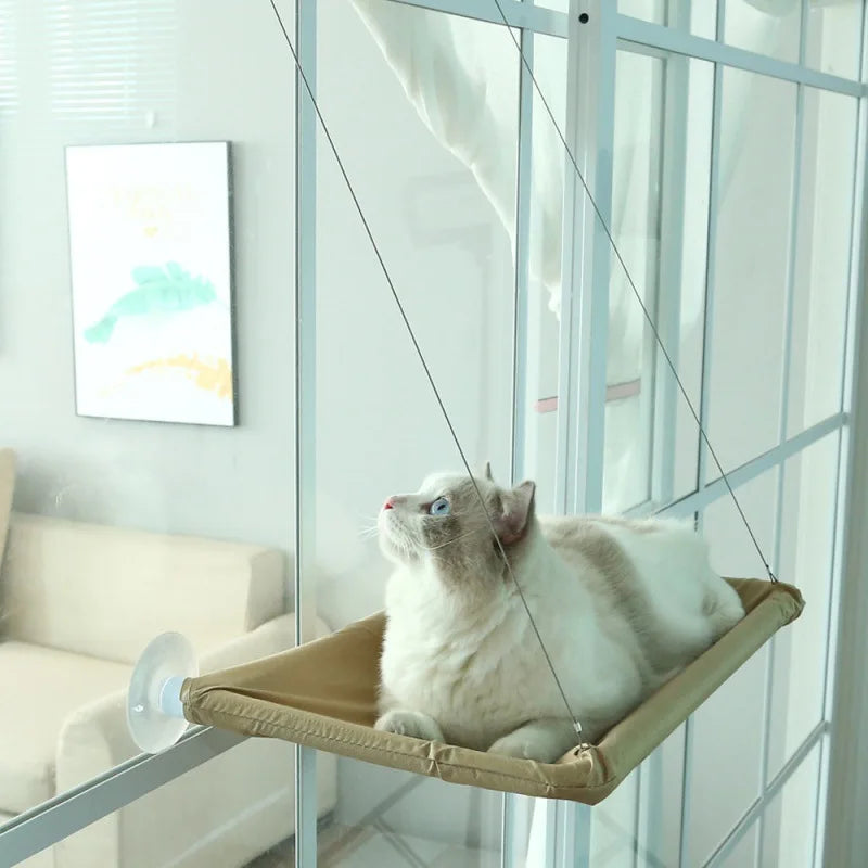 Sky-High Relaxation
