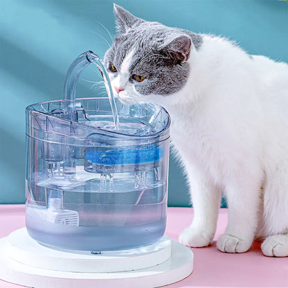 Clean Water Meets  for  Healthier Happier Cat