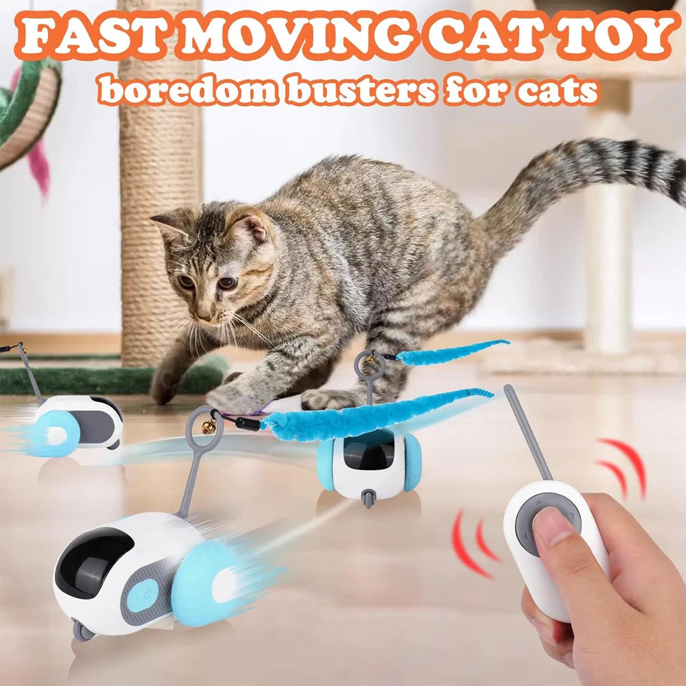 Playtime on Wheels for  Cats  Dogs