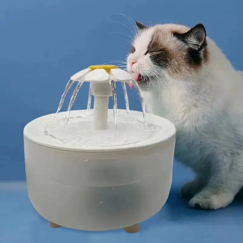 The Ultimate Fountain for Cat Wellness