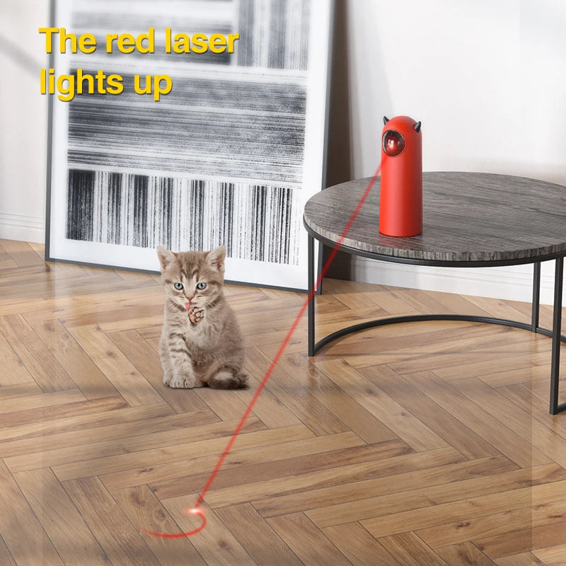 Connects You With Your Cat