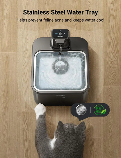 The 2-in-1 SensorActivated Pet Fountain