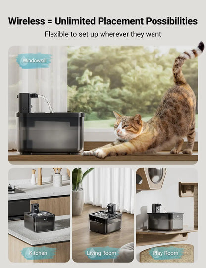 The 2-in-1 SensorActivated Pet Fountain