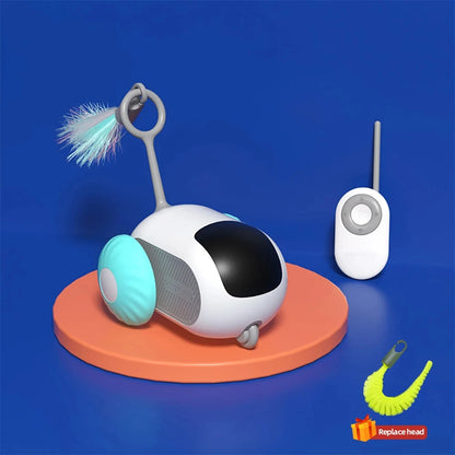 Playtime on Wheels for  Cats  Dogs