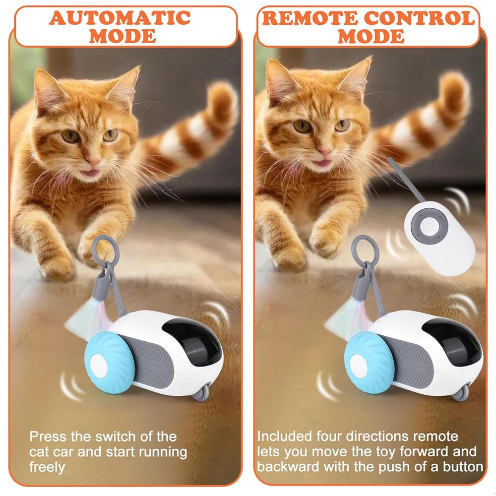 Playtime on Wheels for  Cats  Dogs