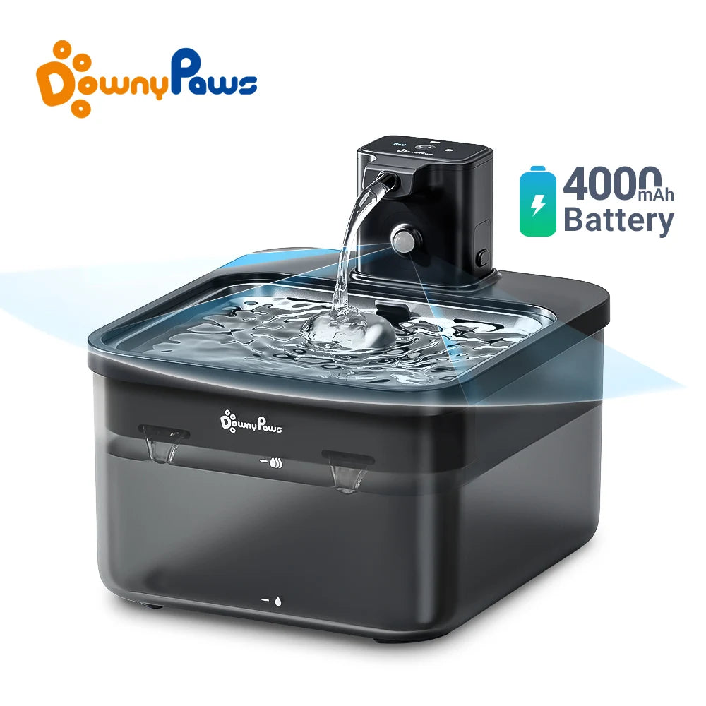 The 2-in-1 SensorActivated Pet Fountain