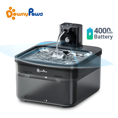 The 2-in-1 SensorActivated Pet Fountain