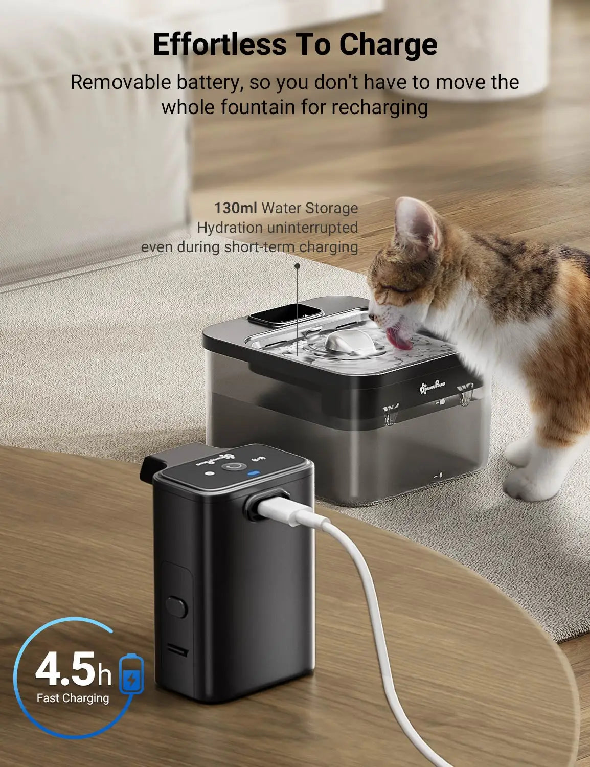 The 2-in-1 SensorActivated Pet Fountain