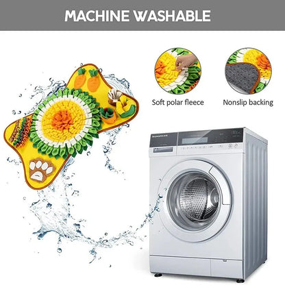 Eliminate Odours for Good