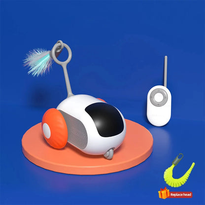 Playtime on Wheels for  Cats  Dogs