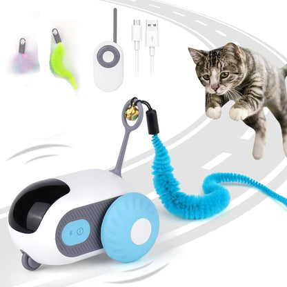 Playtime on Wheels for  Cats  Dogs
